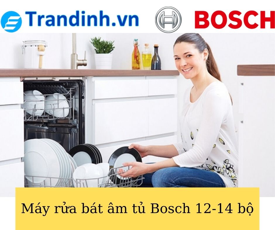 Máy rửa bát âm tủ Bosch 12-14 bộ